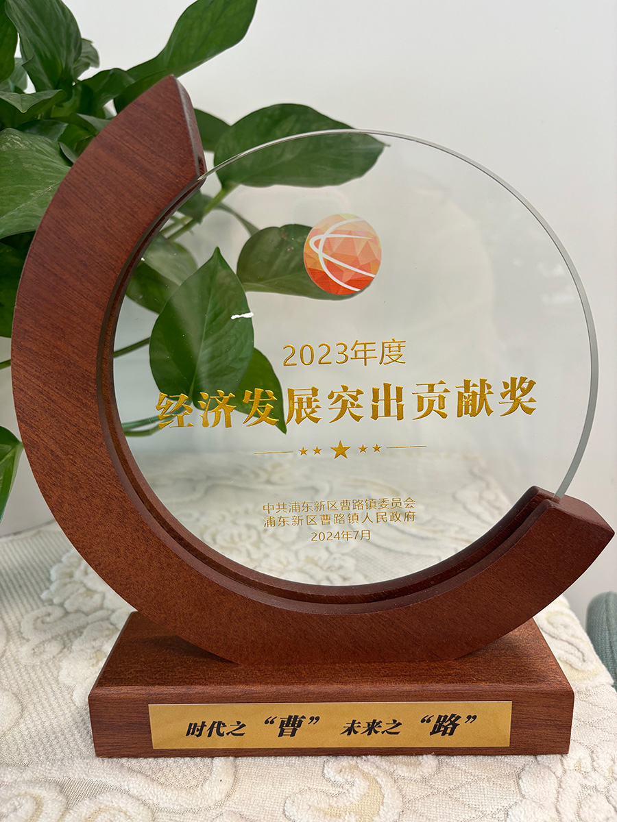 經濟發(fā)展突出貢獻獎獎杯xiu.jpg