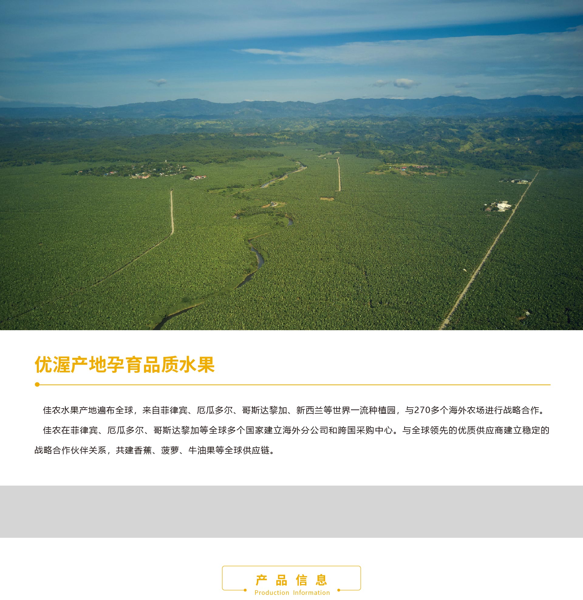 網(wǎng)站香蕉詳情頁_01.jpg